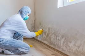 Best Mold Removal for HVAC Installations  in USA